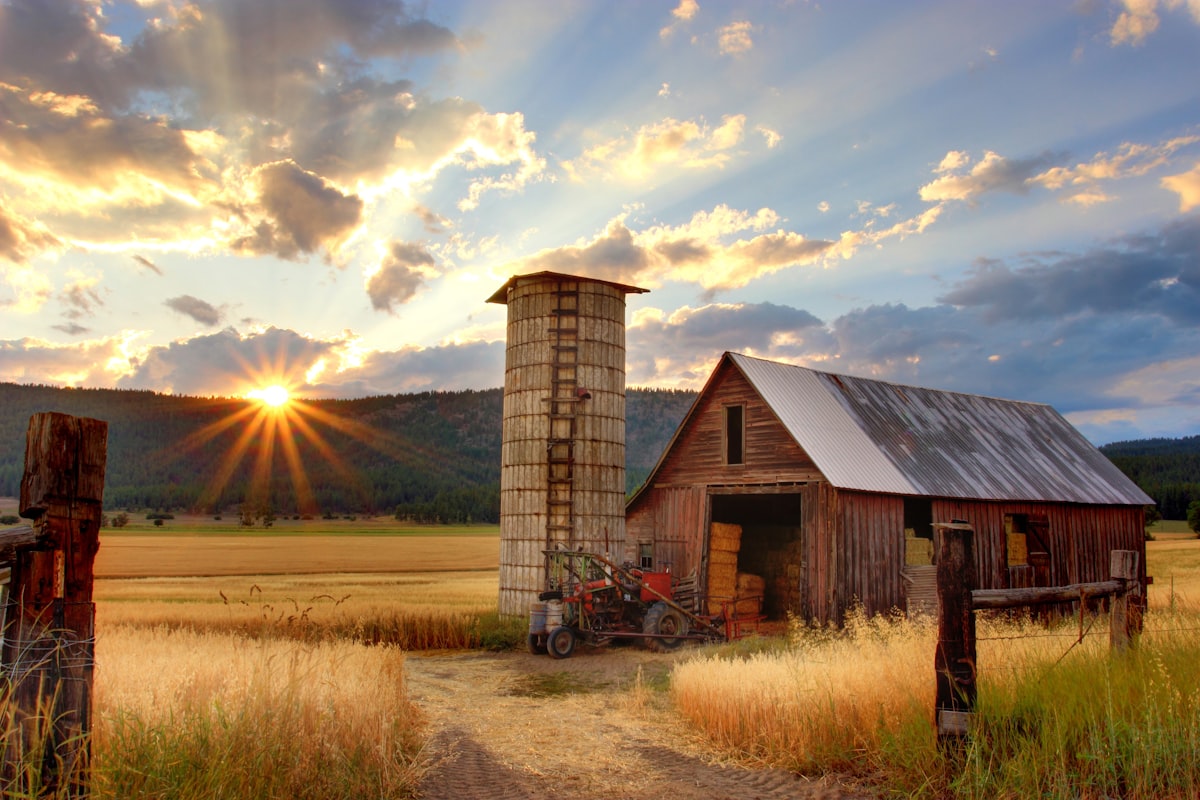 Rural Indiana landscape representing Waterloo agricultural community and small-town business values in DeKalb County